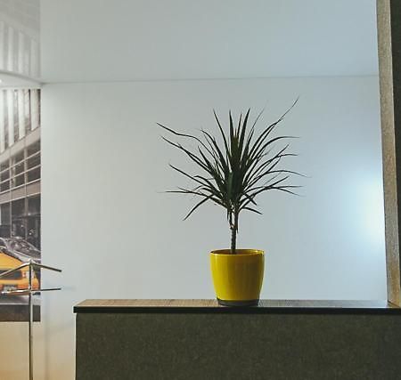 Vip Apartmen Apartment Sumy Luaran gambar
